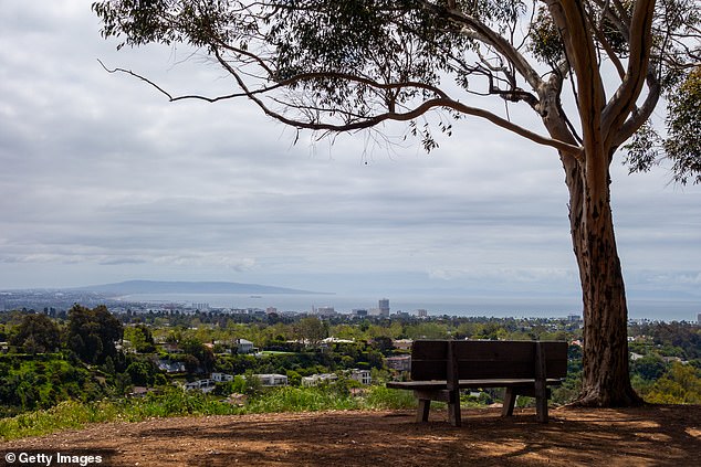 “Additionally, real (inflation-adjusted) home prices in Los Angeles have been significantly higher than those in San Francisco over the past five years,” Woloshin further noted.