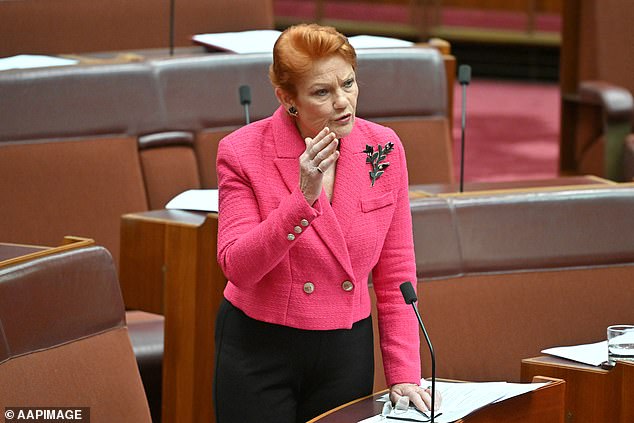 Senator Pauline Hanson wants Welcome to Country scrapped in favor of honoring fallen servicemen and women