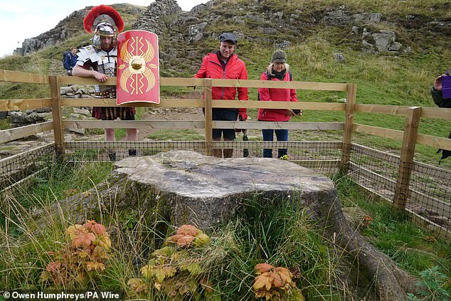 People gather around the stump of the Sycamore Gap tree in Northumberland National Park