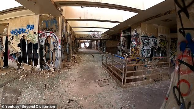 The former medical building (pictured) is covered in broken glass and graffiti