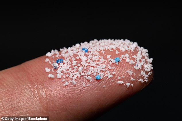 Small plastic pellets on a finger. Microplastic levels are almost 60 percent higher in carpeted homes compared to uncarpeted workplaces, the study shows (file photo)