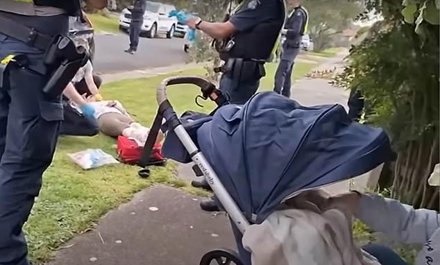 The dogs brutally mauled a 35-year-old mother (photo on the ground) as she pushed her toddler in a stroller