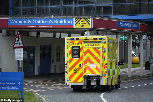 Doctors at the Countess of Chester Hospital (pictured) say they have repeatedly raised concerns about a spike in deaths in the neonatal unit to hospital bosses