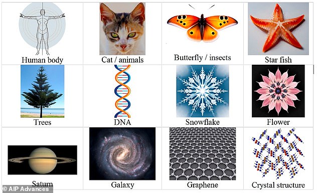 Professor Vopson thinks the prevalence of symmetry in the universe (pictured) suggests we are in a simulated reality, as it is a way to save computing power