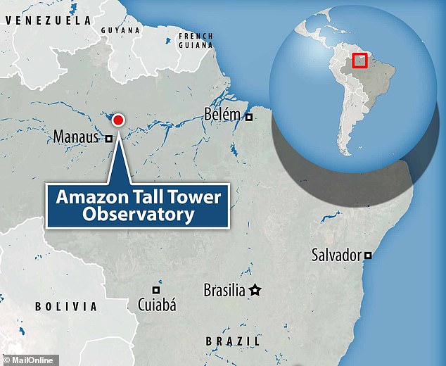 The tower, about the same height as Paris' most famous landmark, is located deep in the Amazon rainforest