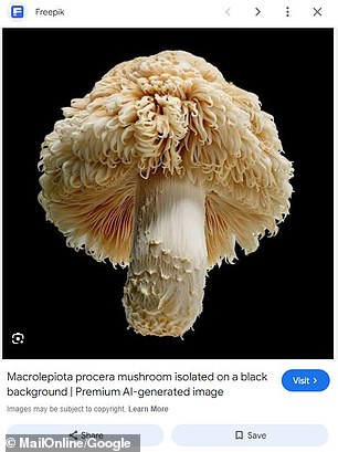 This AI-generated image was the first result in the Google Search snippet for parasol mushroom