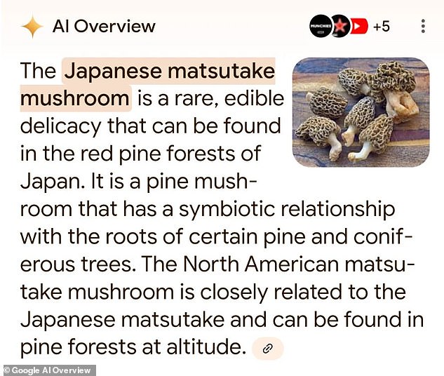 In another case, the AI ​​review produced images of chanterelles while describing the Japanese matsutake, a completely different mushroom