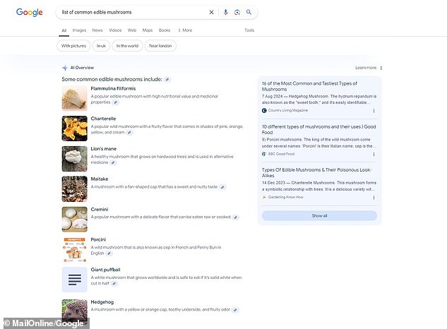 MailOnline found that Google's AI overview returned incorrect images for several searches for common edible mushrooms