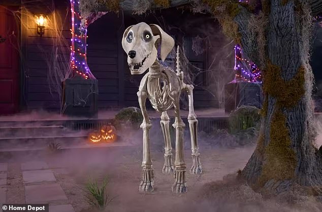 The 5x7 skeletal animal has a movable tail and jaw and prices start at $199