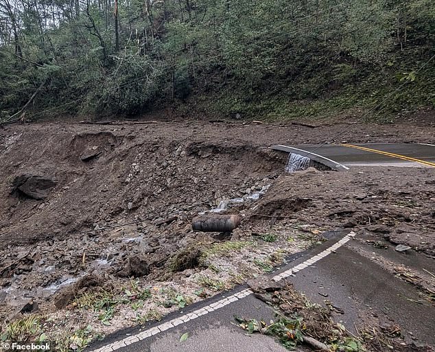 On Saturday morning, Perkins, 38, set out on a perilous journey, traveling 7 treacherous miles to see them in the mountains of North Carolina, where they live.