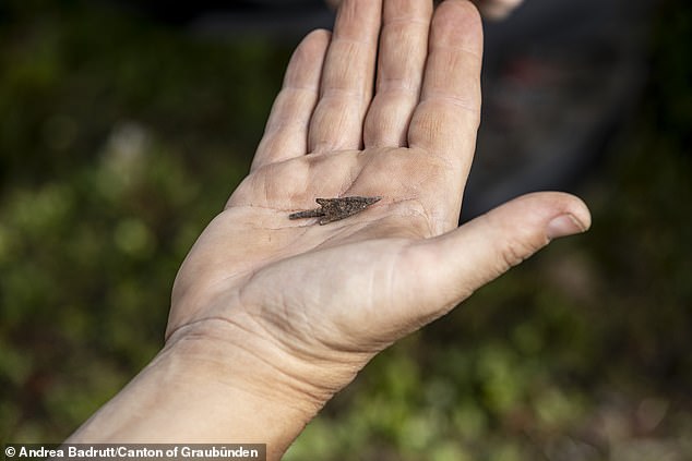 The archaeologists found an arrowhead at the site (pictured) that connects the military camp to a battlefield nearly 3,000 feet below