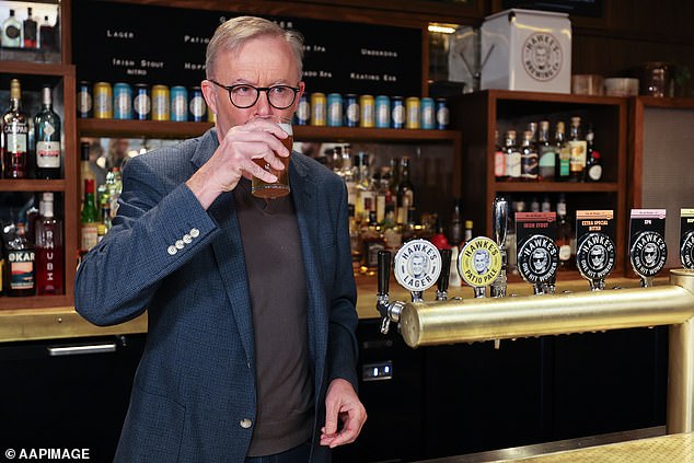 Anthony Albanese has the highest concentration of craft breweries of any federal electorate, but he has turned his back on the once-thriving industry in favor of the last drinks