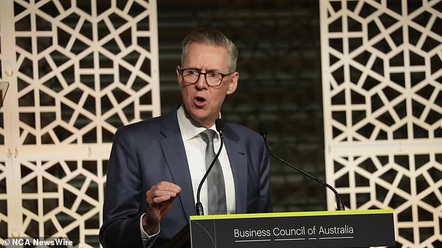 Business Council of Australia chairman Geoff Culbert stood firm after Albania's government decided to limit the number of international students