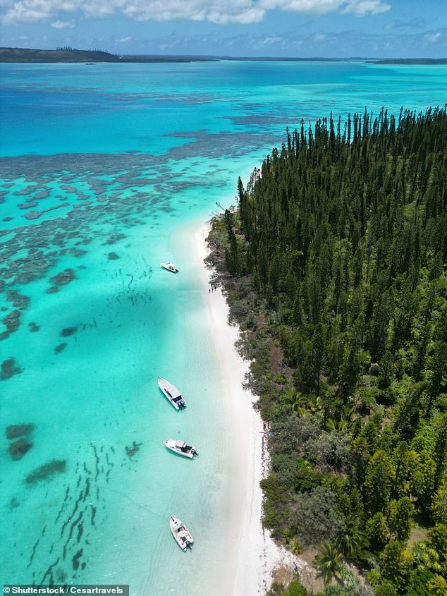 A Facebook ad promised an eight-day cruise with three stops in New Caledonia (pictured)