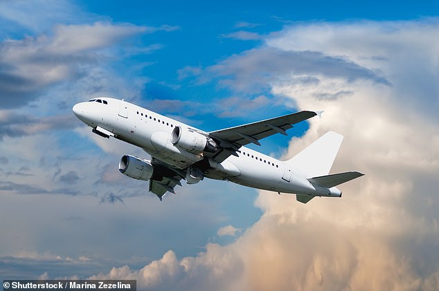 For many nervous flyers, even an hour on a plane can be anxiety-provoking. But there's bad news, because flights could soon get even longer - if scientists from the University of Cambridge have anything to do with it (stock image)