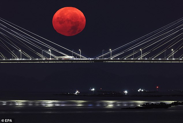 The moon will shine blood red because it will only receive sunlight that has passed through Earth's atmosphere. Pictured is the 2024 Harvest Moon over Spain