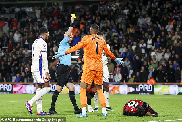 Bournemouth and Chelsea set new Premier League yellow cards record as referee Anthony Taylor dishes out FOURTEEN bookings at the Vitality Stadium