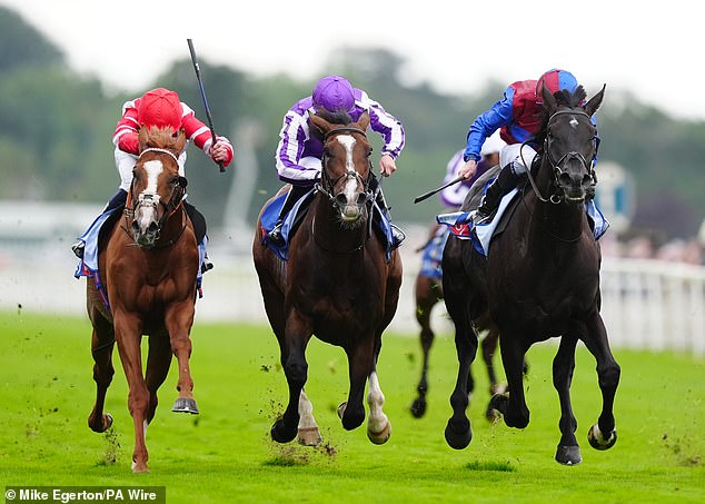 Los Angeles (far right) appears to be avoiding the St Leger, but Illinois (center) will