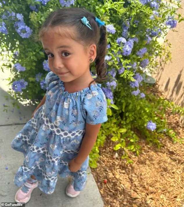 Ily Elizabeth Ruiz, 3, was found unconscious in a hot car on Friday and died