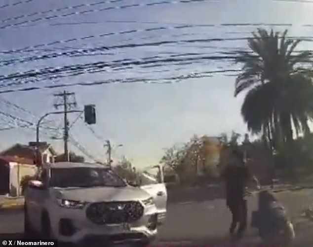 A video clip shows a student running over a rival classmate's father, getting out of the car and kicking him during a wild fight outside a school in Punto Alto, Chile