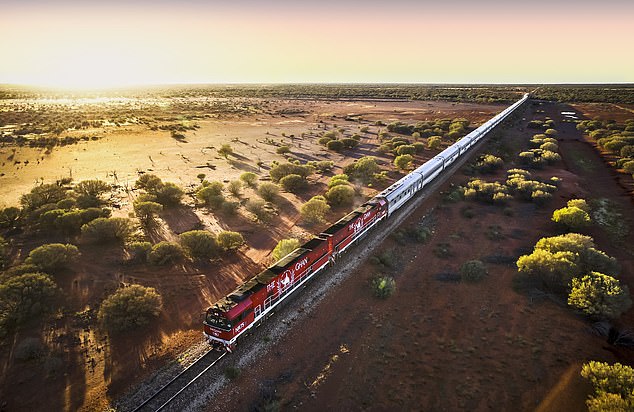 The Ghan (pictured), an iconic Australian passenger train, has collided with a cattle truck in the Northern Territory