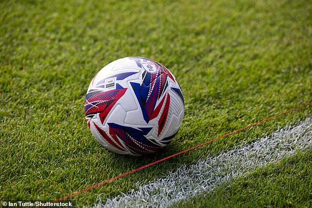 Cardiff City have sacked manager Erol Bulut as the Bluebirds sit bottom of the Championship