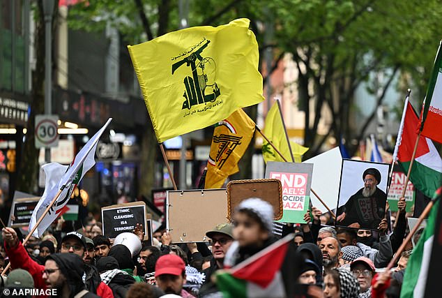 Chilling photo pro Palestine protesters carry down the streets of Australian