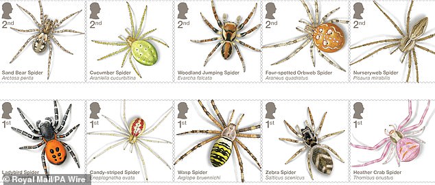 Royal Mail has unveiled images of a set of 10 new stamps featuring original illustrations of spiders found in the UK. With their plain backgrounds, they can make it look like a creepy crawly creature is crawling across your mail