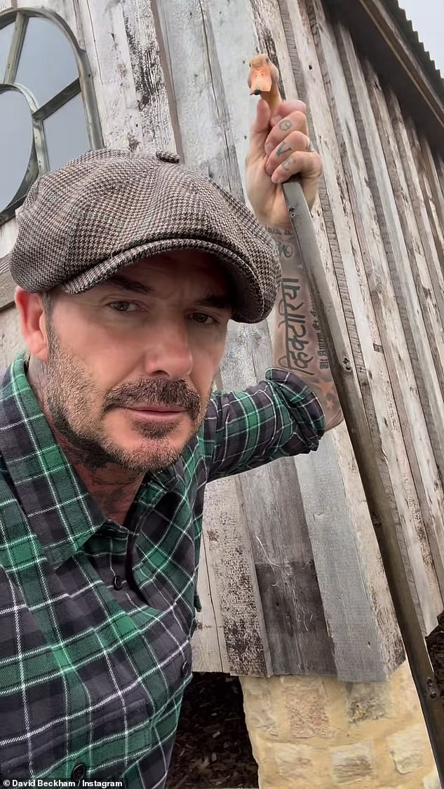 David Beckham was in a playful mood on Saturday when he made a cheeky comment about his vegetables while giving fans a glimpse into his garden