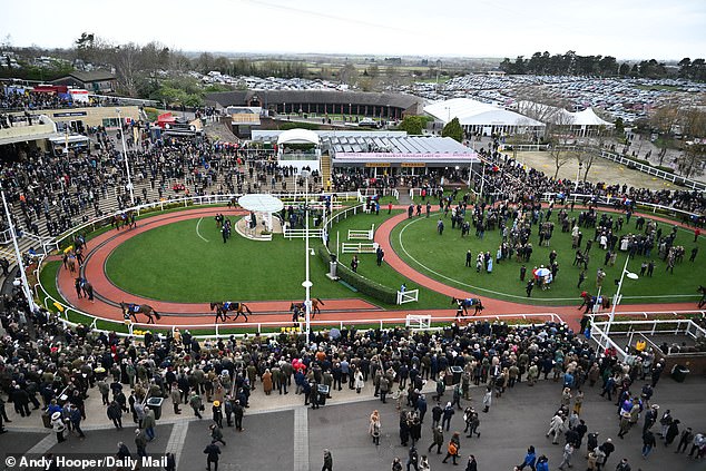 The Cheltenham Festival will undergo its most revolutionary changes in twenty years to improve the quality of the event and, crucially, improve the experience for racegoers from next year