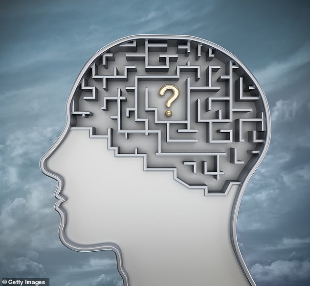 The brain is constantly rewiring itself and you need to stimulate the creation of new neural connections by mentally challenging yourself (Stock Image)