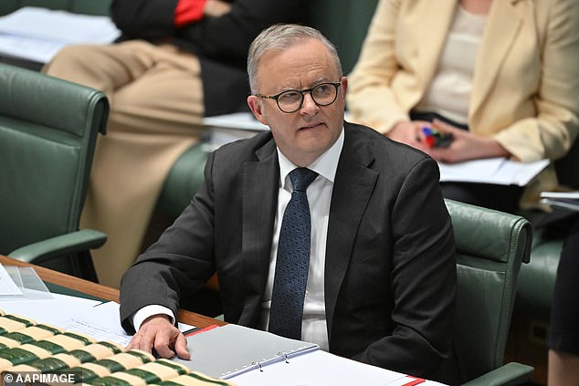 Anthony Albanese's move to ban children from using social media has prompted a response from US giant Facebook