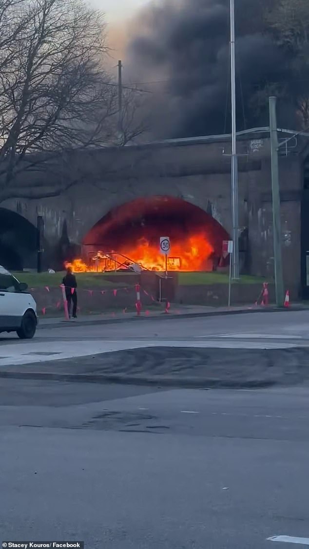 A fire has broken out under a bridge in Sydney's Wentworth Park (photo)