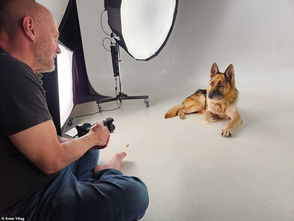 The seven-year-old dog has since undergone a remarkable transformation, as seen in a recent dog photo shoot, courtesy of Dogma Pet Portraits in Costa Mesa