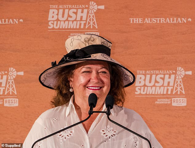 Mining billionaire Gina Rinehart (pictured) has used her speech at the Bush summit in Western Australia to issue dire warnings that Australia is heading for economic and defence disaster