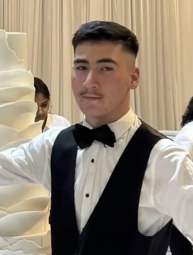 Mehdi Habibi, 17, (pictured) was swept out to sea at around 3.15pm on Sunday after being hit by huge waves while on rocks off Granite Island in South Australia.