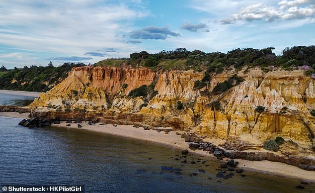 A diver has gone missing off the coast of Western Australia while out with his two friends