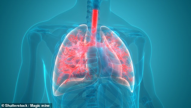 NHS chiefs have been urged to reverse their decision to reject a groundbreaking lung cancer drug that cuts the risk of the disease returning by a third (stock photo)