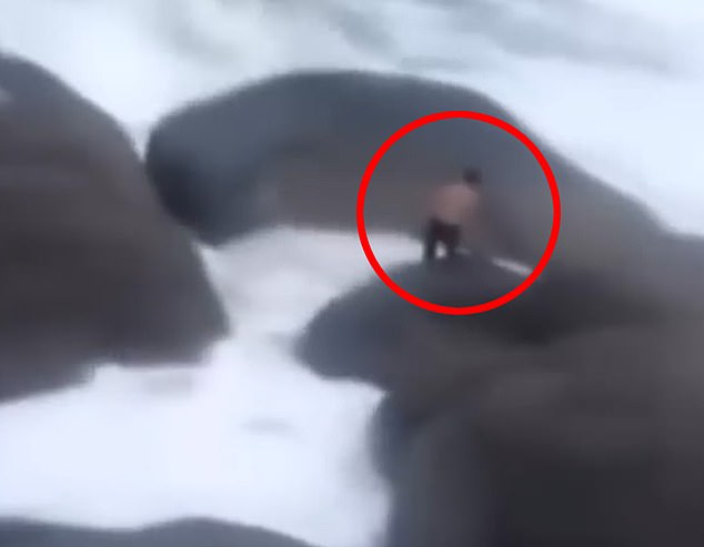 Mehdi Habibi, 17, was filmed by his brother as he walked on large rocks at Granite Island in South Australia before a wave swept him out to sea