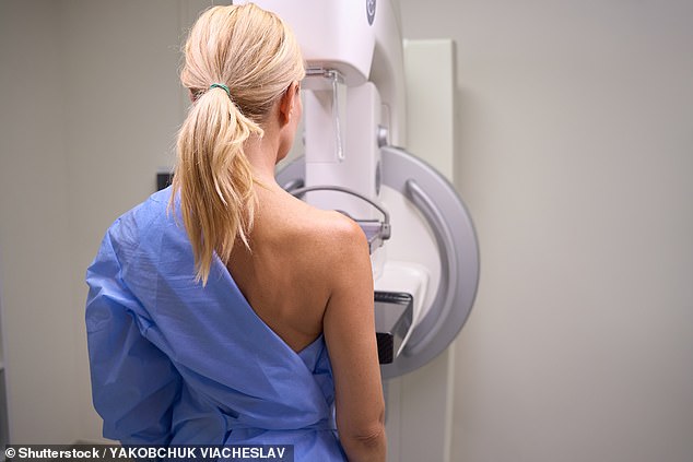 Breast cancer patients denied life-extending drug are being denied a final Christmas with their loved ones, charities warn (stock photo)