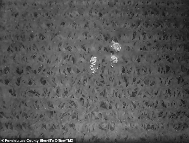 Newly released footage shows the incredible moment a drone camera successfully locates a three-year-old child lost in a massive Wisconsin cornfield