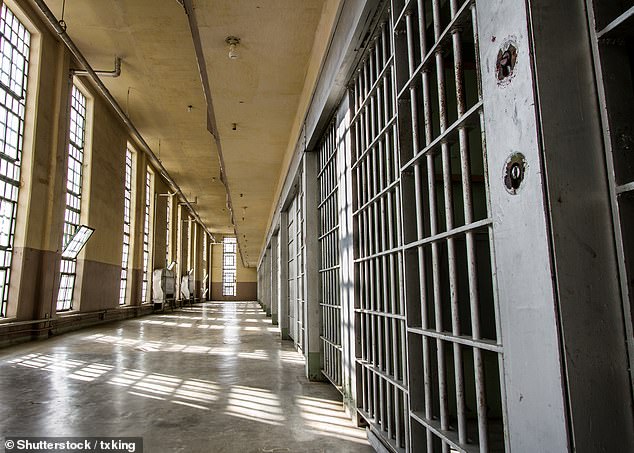 More than 4,000 inmates were released from prison last year, while 11,300 remain in jail (stock image)