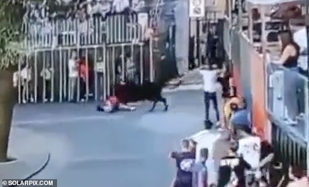 Horrible second woman 60 is mauled to death by bull