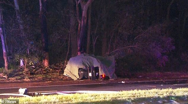 Two people have died after a car crashed into a tree and then burst into flames.