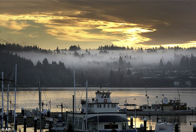 The mother struggled valiantly to free her baby, but she was still left with scratches and bites on the top of her head, face and legs, according to the Washington Department of Fish & Wildlife (WDFW). Pictured: Bremerton Harborside Marina in Bremerton, Washington