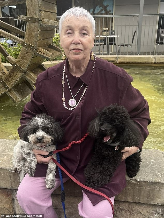 Sue Scammell, 77, is pictured with her dogs Ollie and Bella