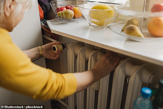 Food or heat: Elderly charities have warned the government that many pensioners will have to choose between groceries and energy bills after the loss of winter fuel payments