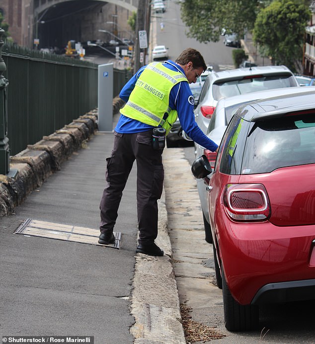 New South Wales Finance Minister Courtney Houssos will introduce an effective ban on ticketless parking fines this month (stock image)