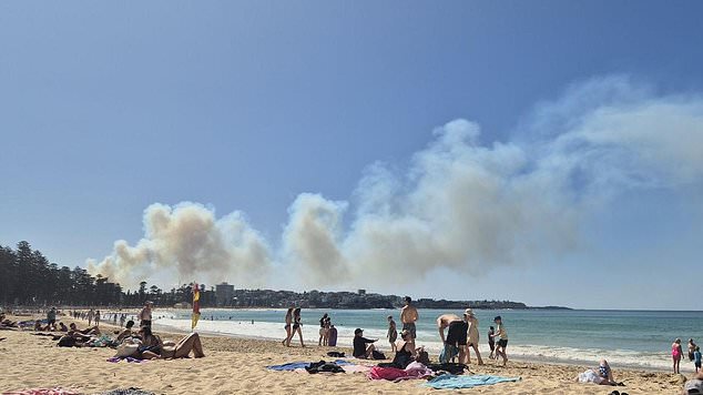 The smoke was visible from Manly Beach on Saturday afternoon