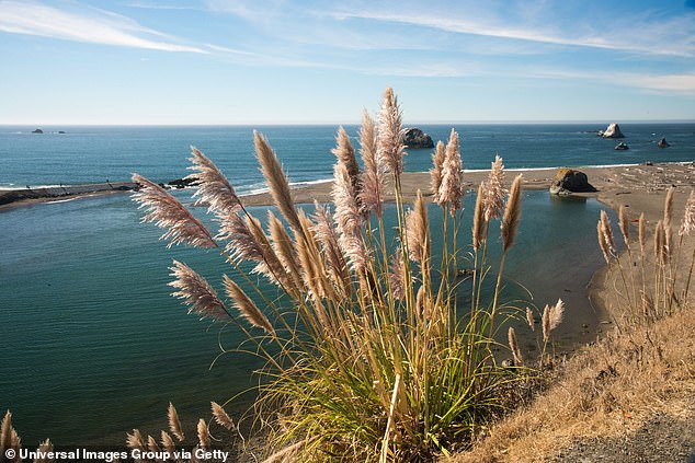 The Russian River in western Sonoma County has become a flashpoint for disputes over access to public beaches as locals try to protect their land from rowdy tourists